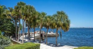 California Desert Travel Insights