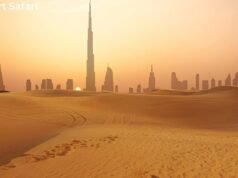 Best Luxury Desert Safari in Dubai