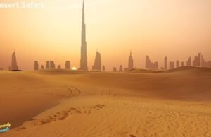 Best Luxury Desert Safari in Dubai