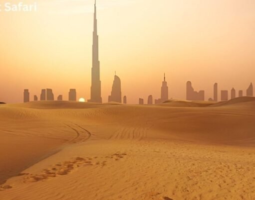 Best Luxury Desert Safari in Dubai