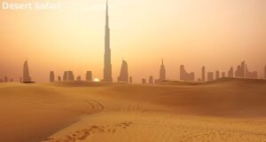 Best Luxury Desert Safari in Dubai