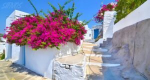 How to Get to Sifnos: Easy Guide